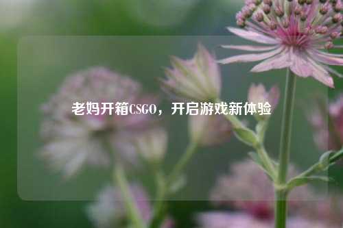 老妈开箱CSGO，开启游戏新体验