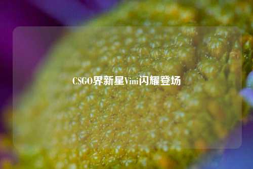 CSGO界新星Vini闪耀登场