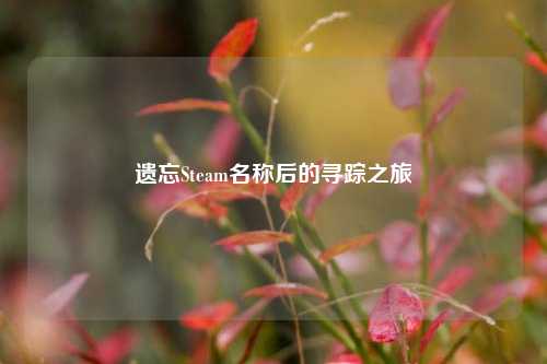 遗忘Steam名称后的寻踪之旅