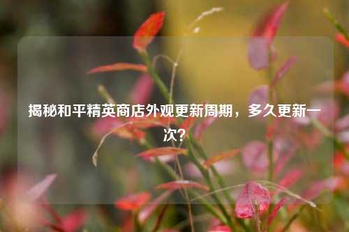 揭秘和平精英商店外观更新周期,多久更新一次?