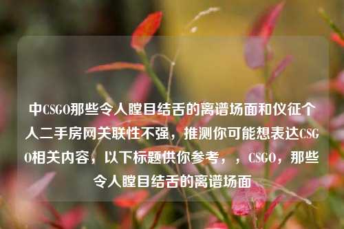 中CSGO那些令人瞠目结舌的离谱场面和仪征个人二手房网关联性不强,推测你可能想表达CSGO相关内容,以下标题供你参考,,CSGO,那些令人瞠目结舌的离谱场面
