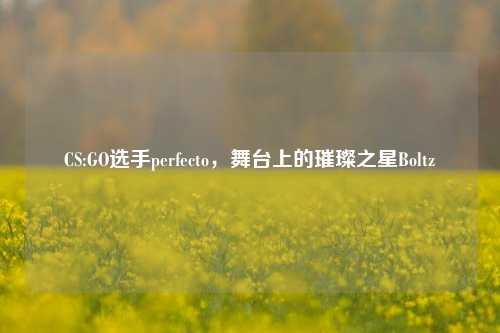 CS:GO选手perfecto,舞台上的璀璨之星Boltz
