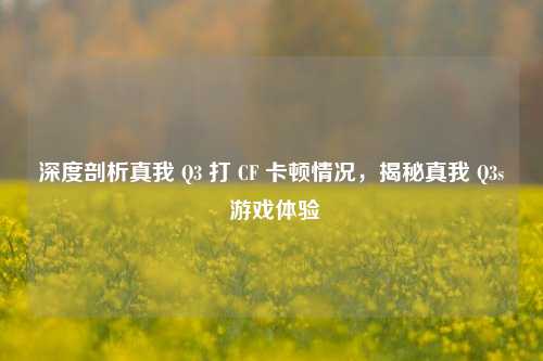 深度剖析真我 Q3 打 CF 卡顿情况,揭秘真我 Q3s 游戏体验