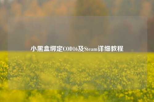 小黑盒绑定COD16及Steam详细教程