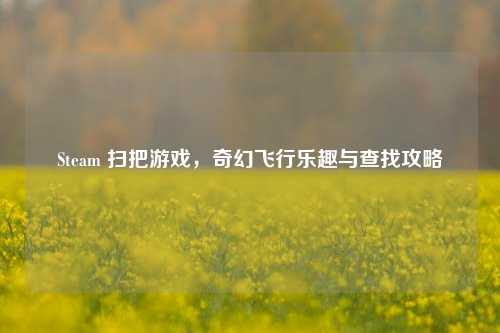Steam 扫把游戏,奇幻飞行乐趣与查找攻略