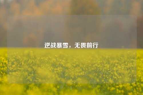 逆战暴雪,无畏前行