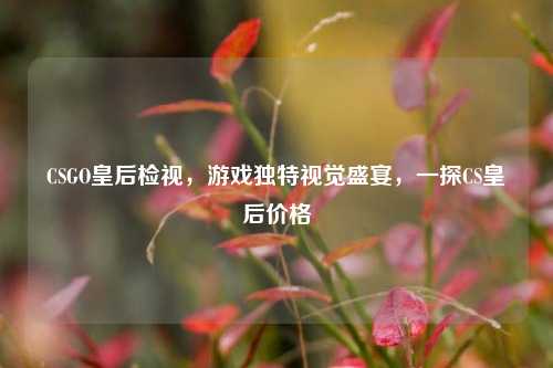 CSGO皇后检视,游戏独特视觉盛宴,一探CS皇后价格