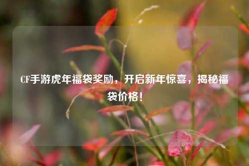 CF手游虎年福袋奖励,开启新年惊喜,揭秘福袋价格!
