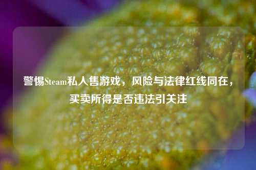 警惕Steam私人售游戏,风险与法律红线同在,买卖所得是否违法引关注