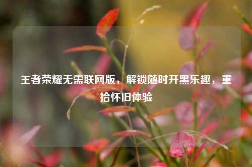 王者荣耀无需联网版，解锁随时开黑乐趣，重拾怀旧体验