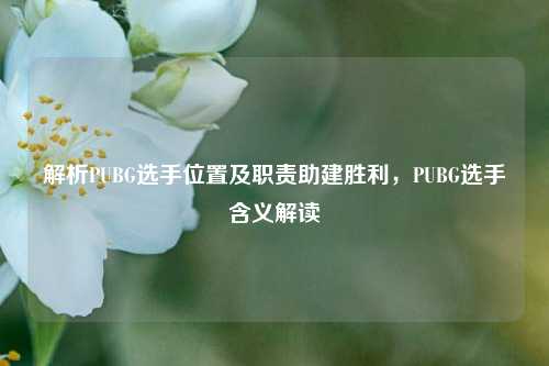 解析PUBG选手位置及职责助建胜利，PUBG选手含义解读