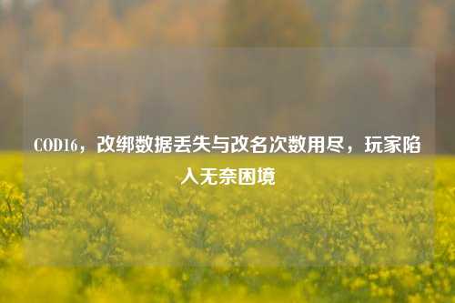 COD16,改绑数据丢失与改名次数用尽,玩家陷入无奈困境