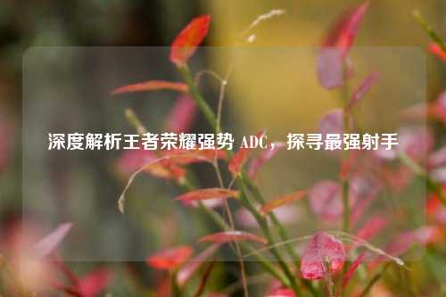 深度解析王者荣耀强势 ADC,探寻最强射手