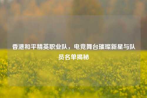 香港和平精英职业队,电竞舞台璀璨新星与队员名单揭秘