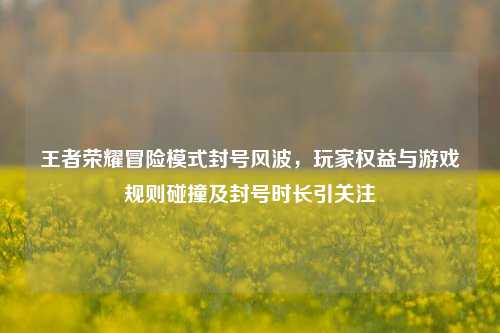 王者荣耀冒险模式封号风波,玩家权益与游戏规则碰撞及封号时长引关注