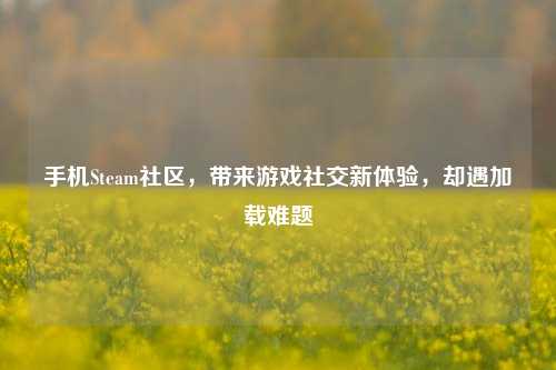 手机Steam社区,带来游戏社交新体验,却遇加载难题