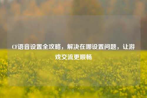 CF语音设置全攻略,解决在哪设置问题,让游戏交流更顺畅
