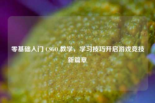 零基础入门 CSGO 教学,学习技巧开启游戏竞技新篇章