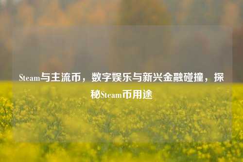 Steam与主流币,数字娱乐与新兴金融碰撞,探秘Steam币用途