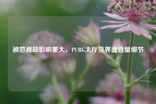 被忽视却影响重大,PUBG大厅及界面音量细节