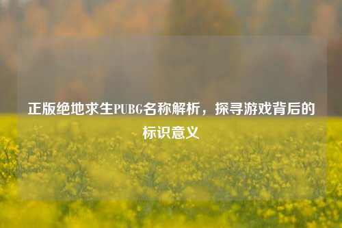 正版绝地求生PUBG名称解析,探寻游戏背后的标识意义