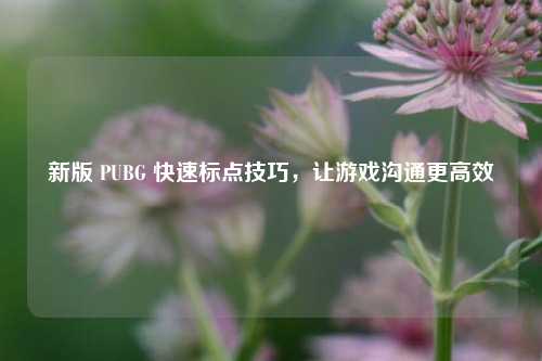 新版 PUBG 快速标点技巧,让游戏沟通更高效