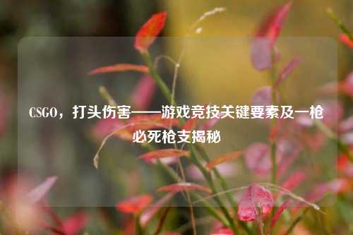 CSGO,打头伤害——游戏竞技关键要素及一枪必死枪支揭秘