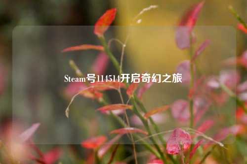 Steam号114514开启奇幻之旅
