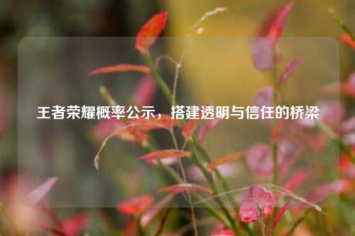 王者荣耀概率公示,搭建透明与信任的桥梁