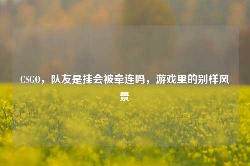 CSGO,队友是挂会被牵连吗,游戏里的别样风景