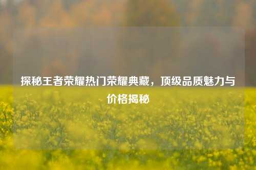 探秘王者荣耀热门荣耀典藏,顶级品质魅力与价格揭秘