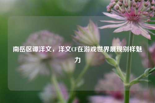 南岳区谭洋文,洋文CF在游戏世界展现别样魅力