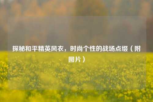 探秘和平精英风衣,时尚个性的战场点缀(附图片)