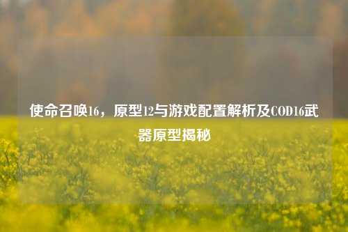 使命召唤16,原型12与游戏配置解析及COD16武器原型揭秘