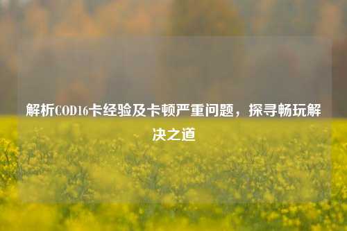解析COD16卡经验及卡顿严重问题,探寻畅玩解决之道