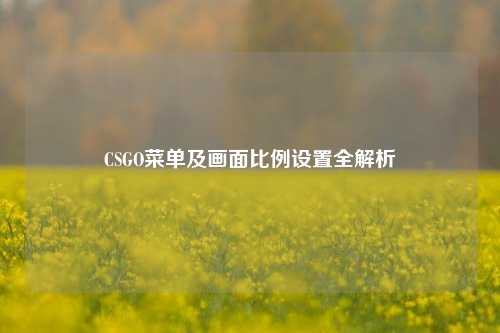 CSGO菜单及画面比例设置全解析