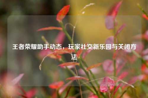 王者荣耀助手动态,玩家社交新乐园与关闭方法