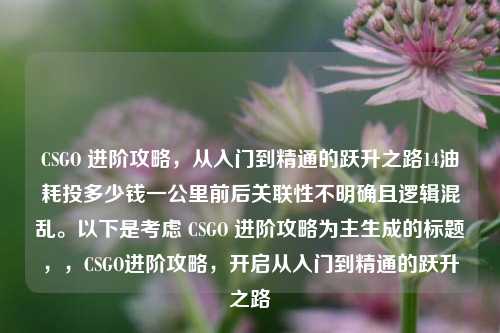 CSGO 进阶攻略,从入门到精通的跃升之路14油耗投多少钱一公里前后关联性不明确且逻辑混乱。以下是考虑 CSGO 进阶攻略为主生成的标题,,CSGO进阶攻略,开启从入门到精通的跃升之路