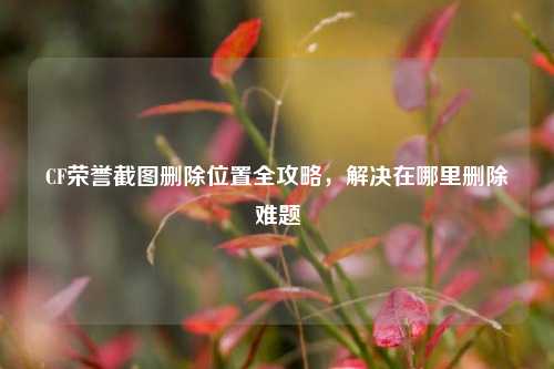 CF荣誉截图删除位置全攻略，解决在哪里删除难题