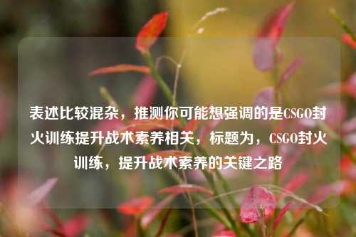 表述比较混杂,推测你可能想强调的是CSGO封火训练提升战术素养相关,标题为,CSGO封火训练,提升战术素养的关键之路