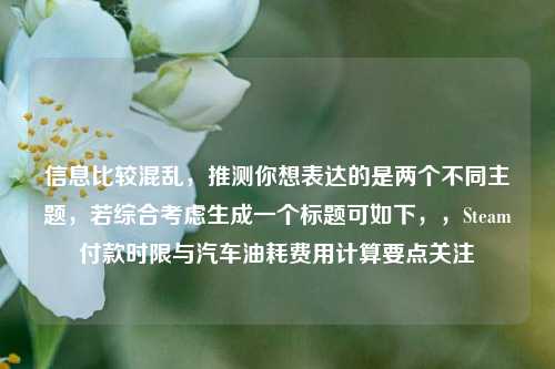 信息比较混乱,推测你想表达的是两个不同主题,若综合考虑生成一个标题可如下,,Steam付款时限与汽车油耗费用计算要点关注