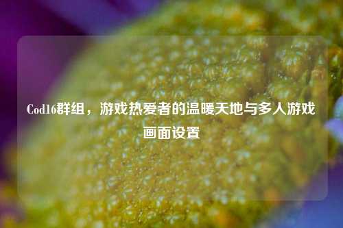 Cod16群组,游戏热爱者的温暖天地与多人游戏画面设置