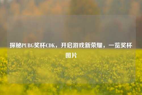 探秘PUBG奖杯CDK,开启游戏新荣耀,一览奖杯图片