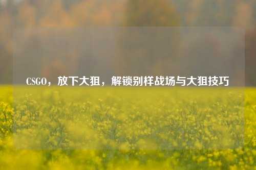 CSGO，放下大狙，解锁别样战场与大狙技巧