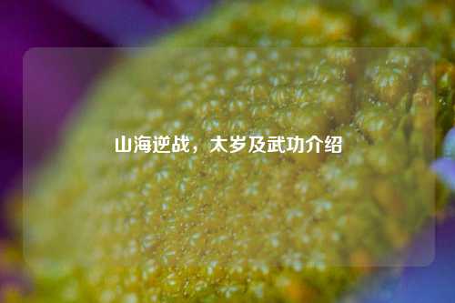 山海逆战，太岁及武功介绍