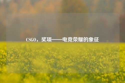 CSGO,奖项——电竞荣耀的象征