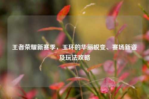 王者荣耀新赛季,玉环的华丽蜕变、赛场新姿及玩法攻略