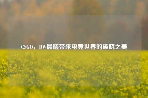 CSGO,DW晨曦带来电竞世界的破晓之美