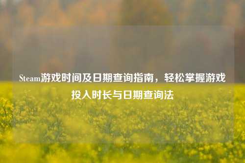 Steam游戏时间及日期查询指南,轻松掌握游戏投入时长与日期查询法
