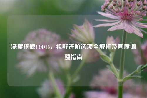 深度挖掘COD16,视野进阶选项全解析及画质调整指南
